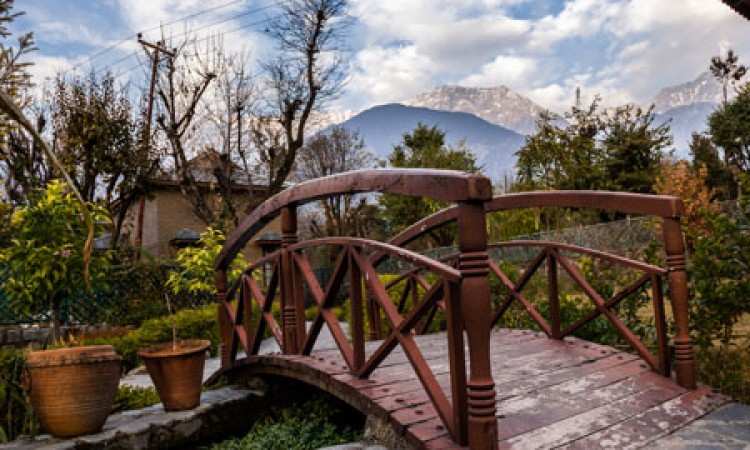 Water Bridge