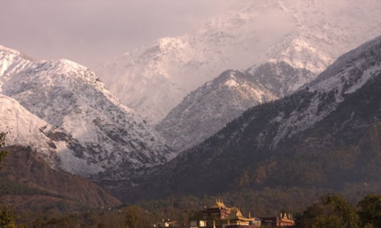 Snow-capped Dhauladhar