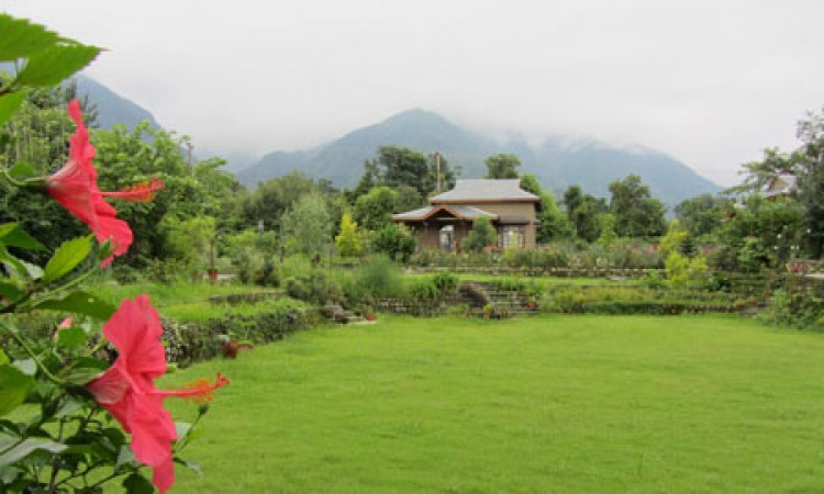 Manicured Lawn