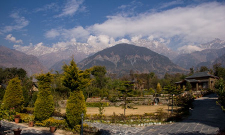 Landscaped Lawns
