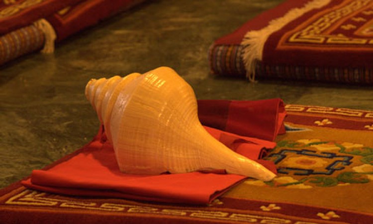 Conch