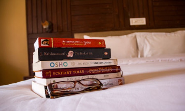 Comfy bed
