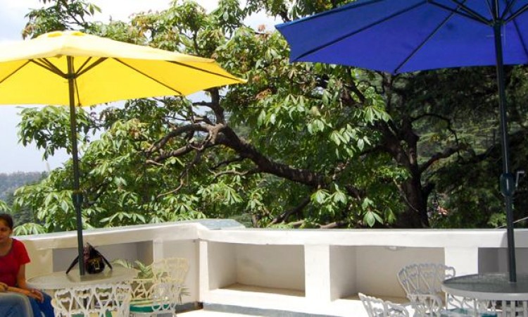 Terrace Terrace