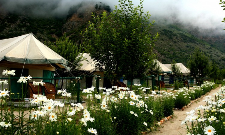 Camps
