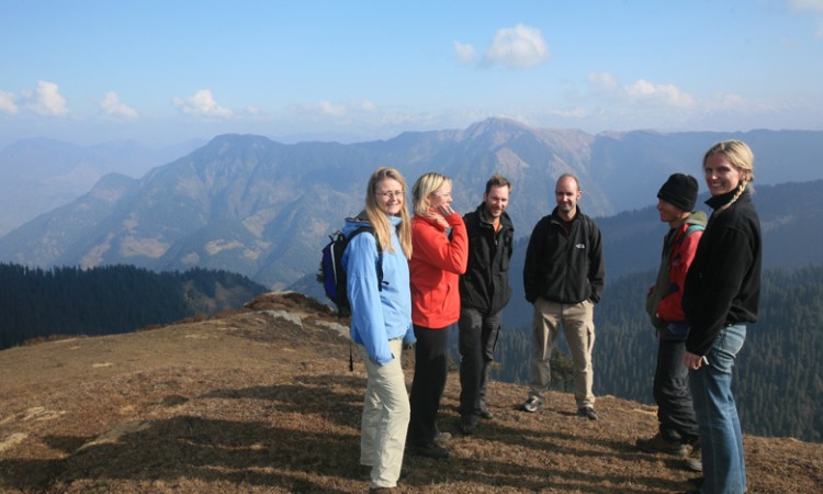 Guests Guests