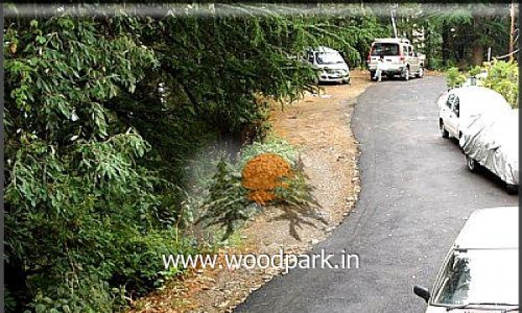 Parking Parking