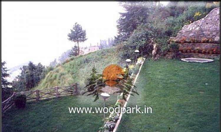 Lawn Lawn