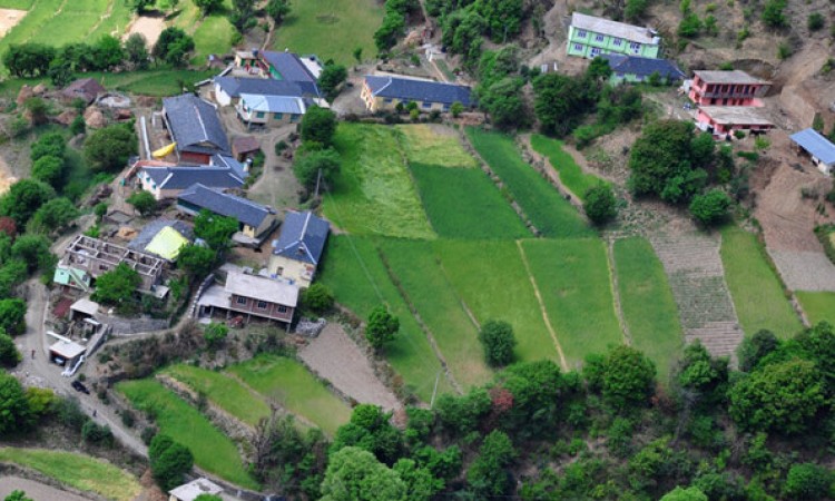 Surrounding Greenery Surrounding Greenery
