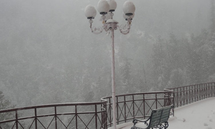 Winter view Winter view