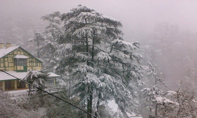 Hotel during snowfall Hotel during snowfall