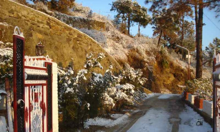 Snowy trails Snowy trails