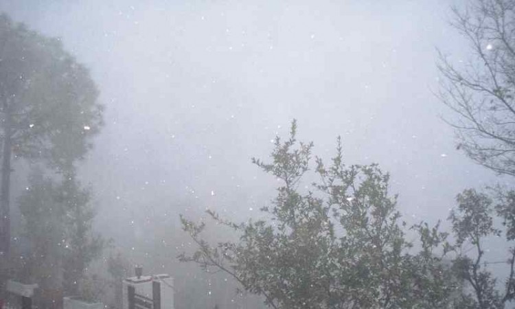 Snowfall Snowfall