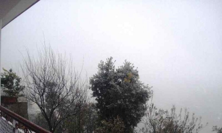 Foggy Foggy