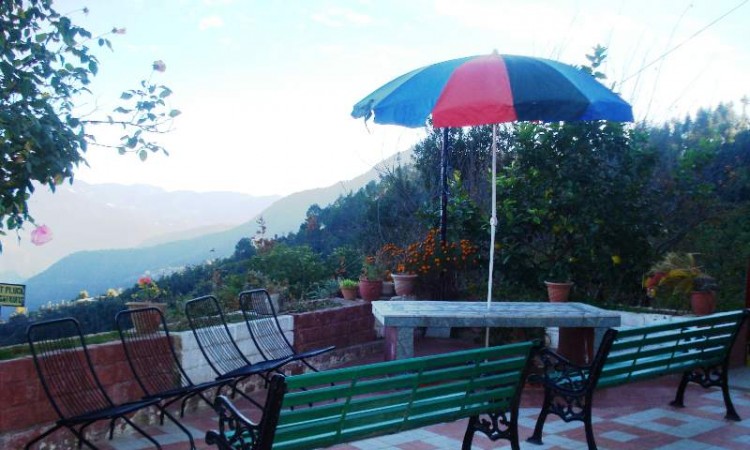 Enjoy nature from these antique benches Enjoy nature from these antique benches