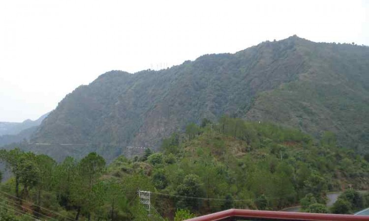 Amidst Greenery Amidst Greenery