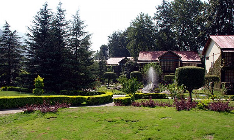 Lawn Lawn