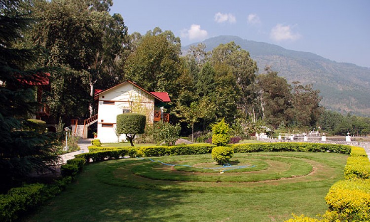 Greenery Greenery