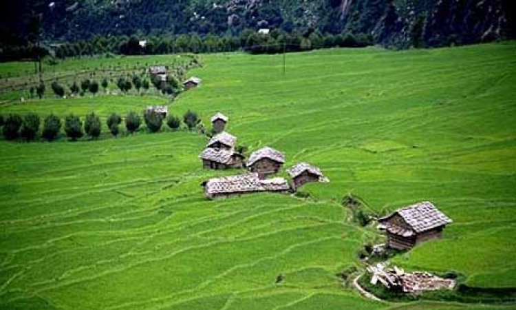 Cottages amidst greenery Cottages amidst greenery
