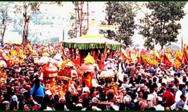 Festival Festival