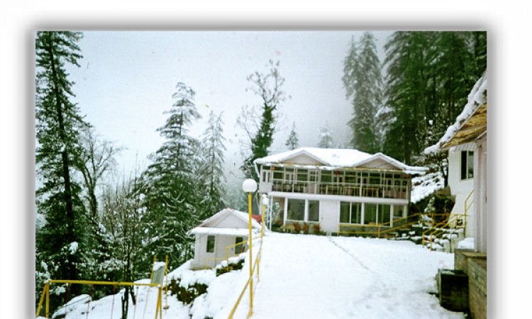 Snowfall