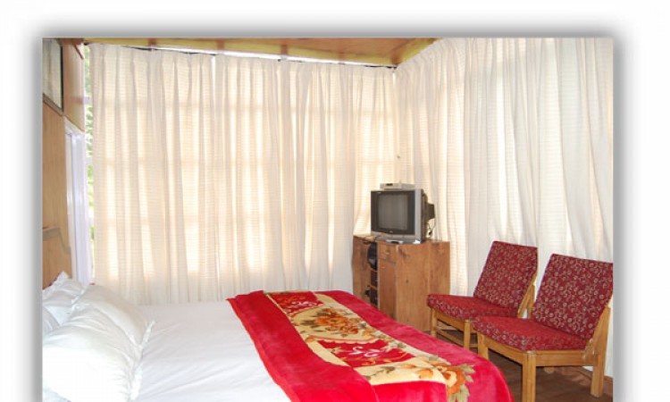 Window curtains
