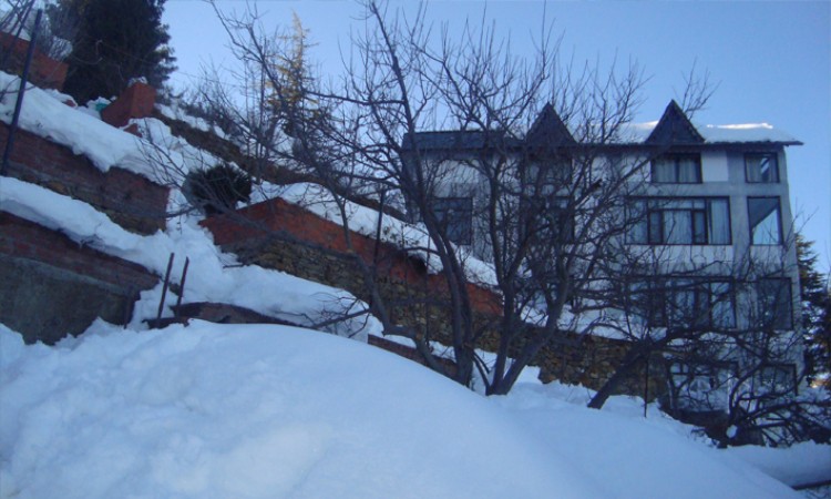 Snow view Snow view