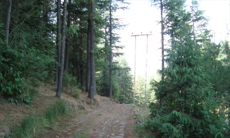 Nature Trail Nature Trail