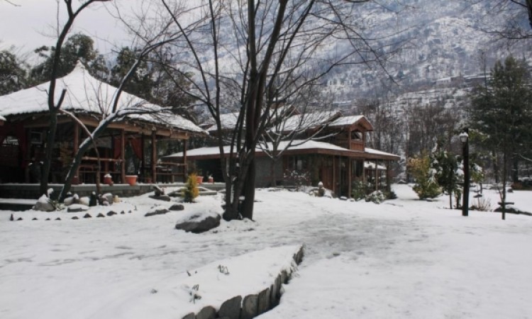 Winters