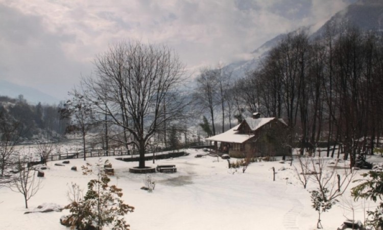 View at Winter