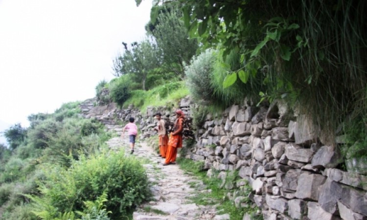 Stony track