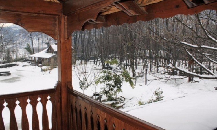 Snowfall view