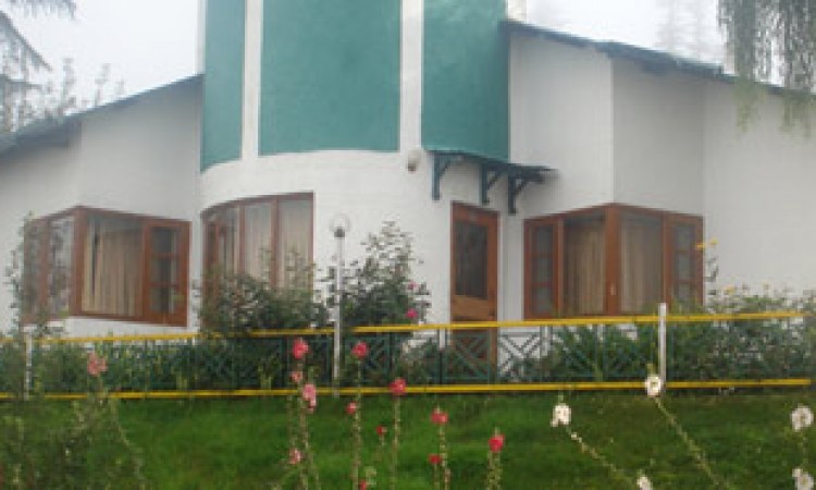 Garden Garden