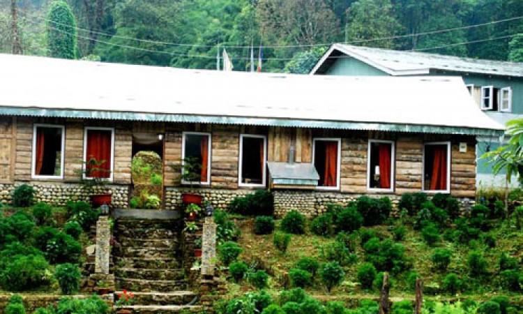 Distant View of the Cottage