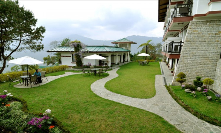Lawn Area