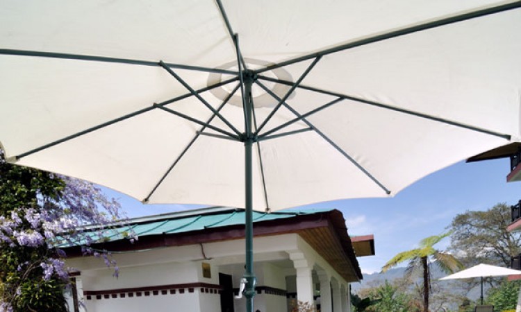 Garden Dining