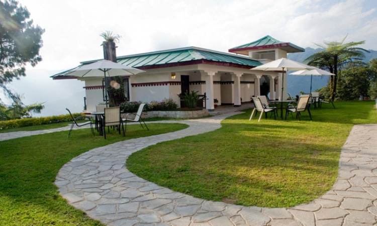 Distant View of the Lawn