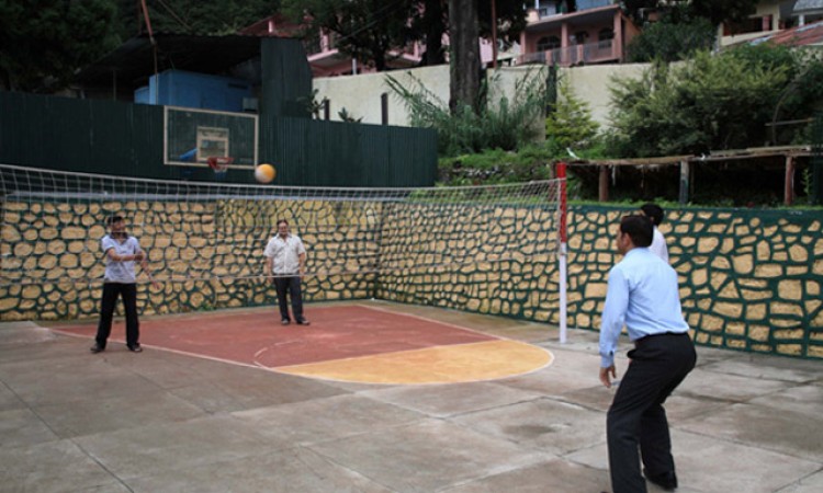 Volleyball