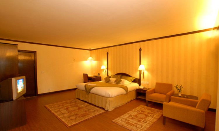 Suite Room