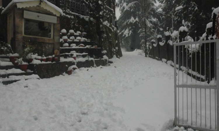 Resort during snowfall