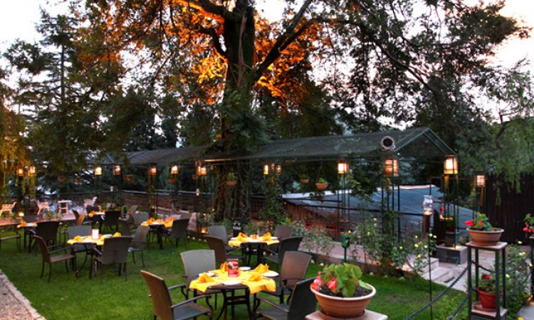 Garden dining