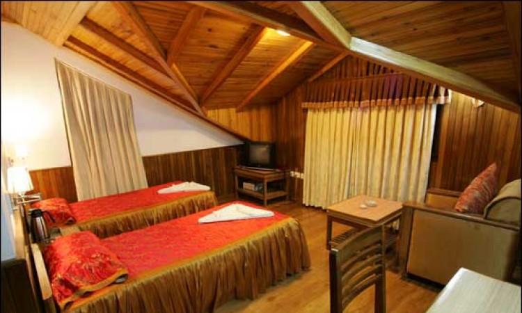 Comfortable Room