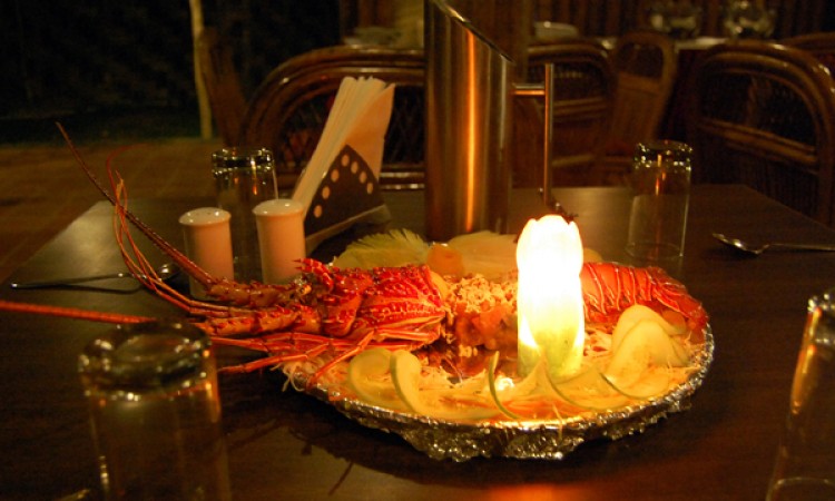 Exotic Food