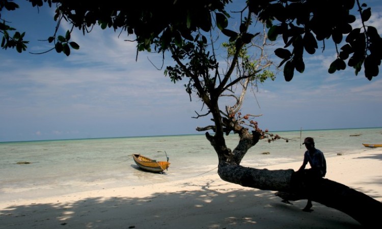 Serene View