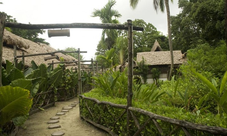 Garden Area