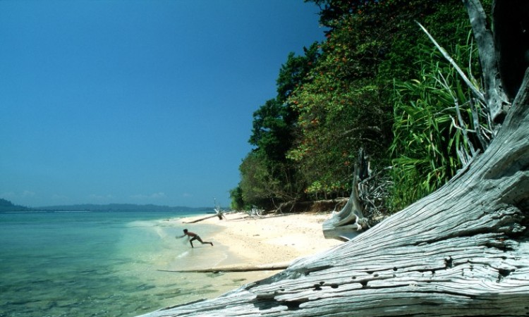 Crystal Clear Water