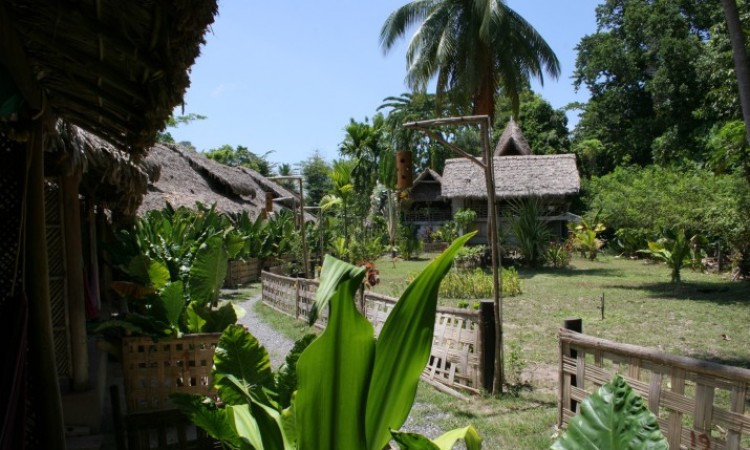 Cottage View