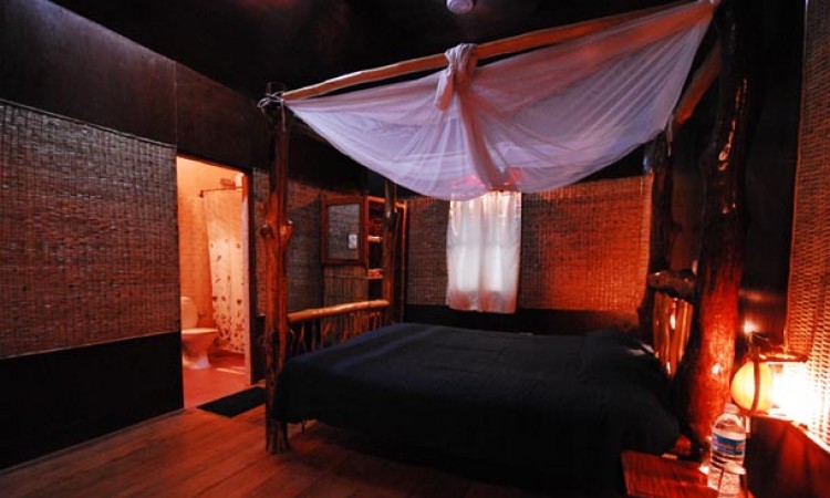 Comfortable Room