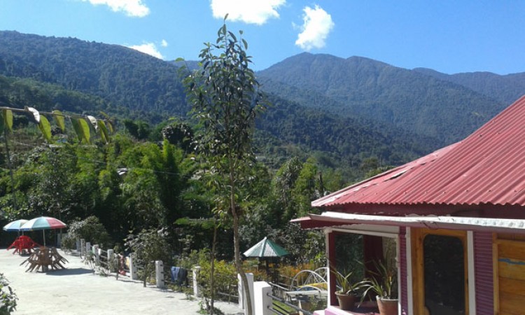 Resort View