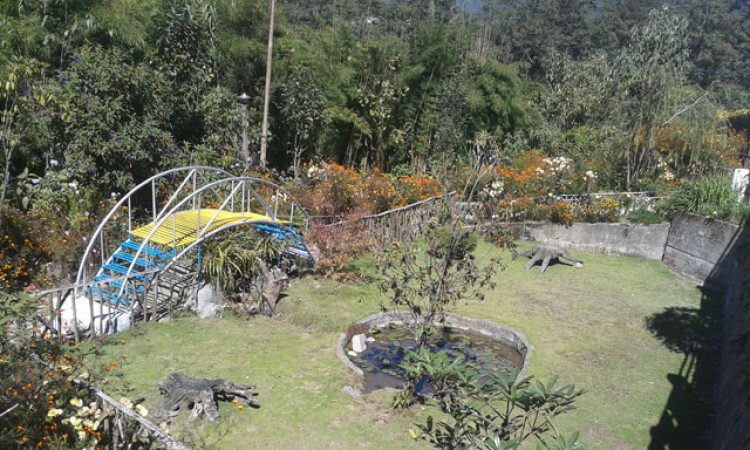 Garden Area