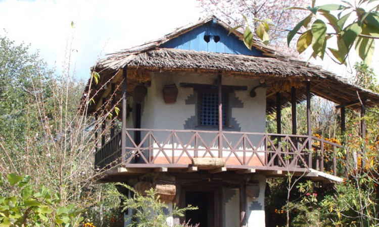 Tree House